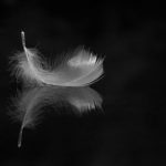 the-unwarrantable avatar