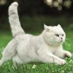 alexandra_vogl avatar