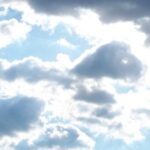 ailenta-mo-vilo avatar